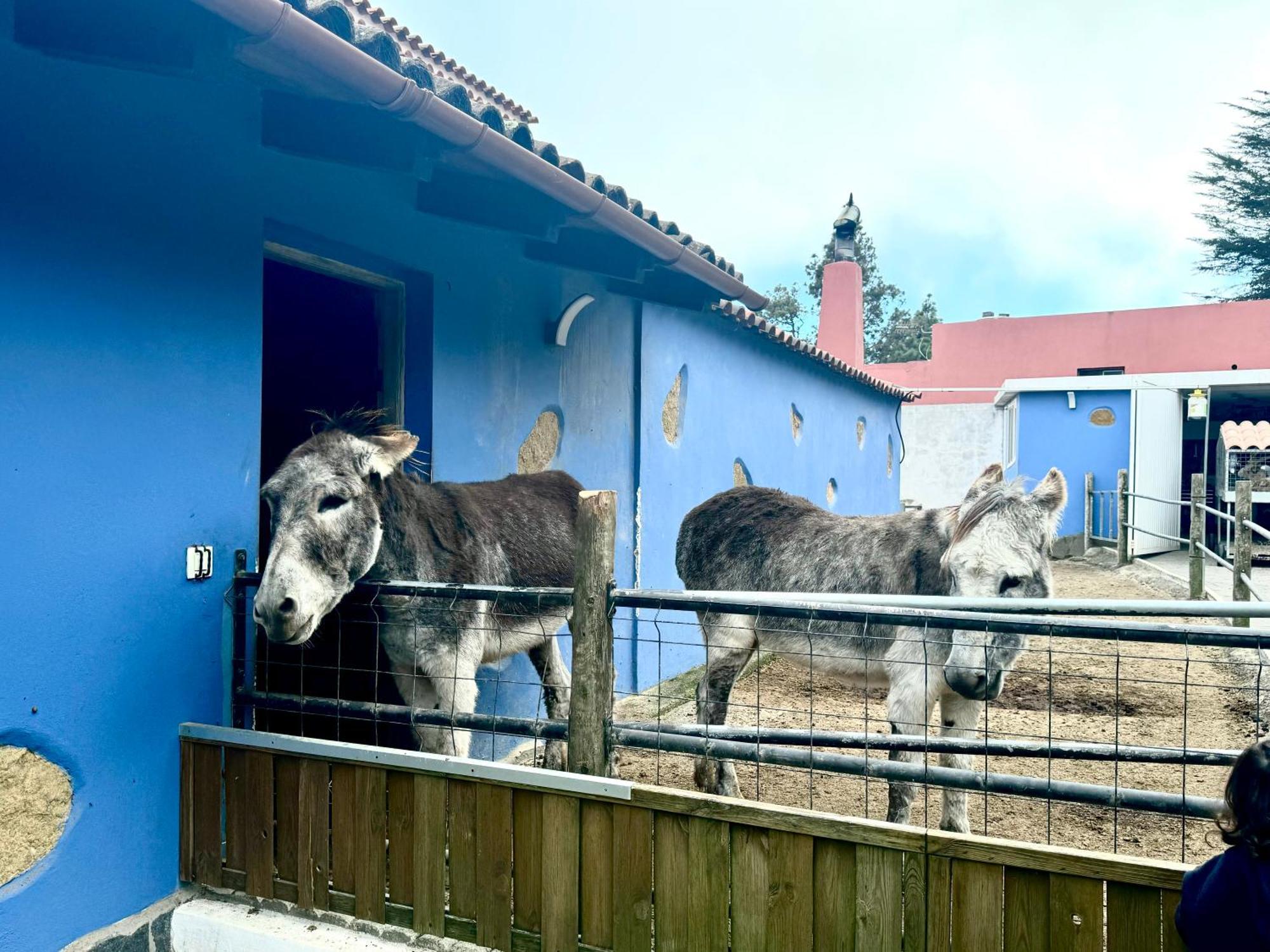 Casa Antigua Βίλα La Esperanza  Εξωτερικό φωτογραφία